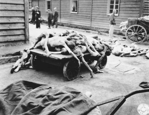 Karren voller Leichen im KZ Gusen. Das Lager Gusen hatte mit seiner Größe eine Sonderstellung im Lagersystem Mauthausen und ist insbesondere bezüglich der Größe bzw. Anzahl der Häftlinge und Ermordeten mit den großen Stammlagern im NS-Regime vergleichbar.