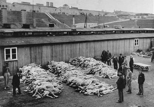 Leichenstapel kurz nach der Befreiung des Konzentrationslagers Mauthausen, dessen Hauptkomplex man im Hintergrund sieht.