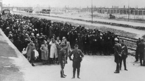 Selektion an der Rampe von Auschwitz. Dort wurden bei den ankommenden Deportationszüge sofort die Menschen ausgesondert, die nicht arbeitsfähig erschienen und die die SS deshalb sofort in die Gaskammern schickte.